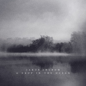 精品大香伊蕉在人线APP大全
