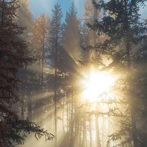 精品大香伊蕉在人线APP大全
