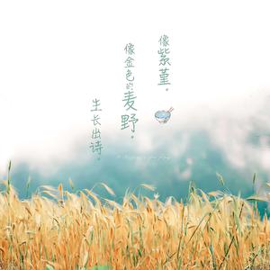 精品大香伊蕉在人线APP大全
